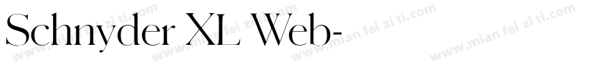 Schnyder XL Web字体转换